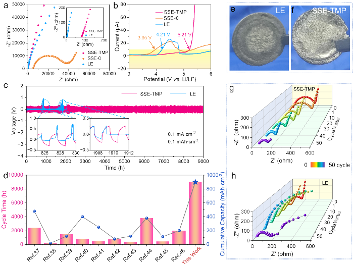 6996网站找回旧址,实践数据分析评估_MHD50.381家庭影院版