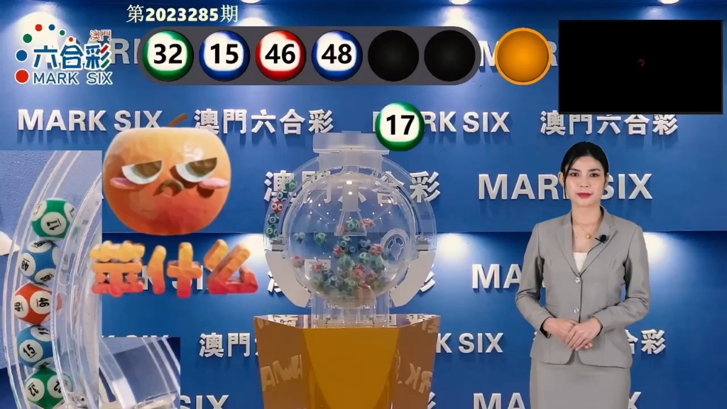 澳门六开奖结果2024开奖记录今晚直播视频播放,平衡执行计划实施_AES50.869梦想版