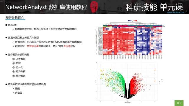 新澳门一码一码100准确免费资料,具象化表达解说_OMQ50.703桌面款