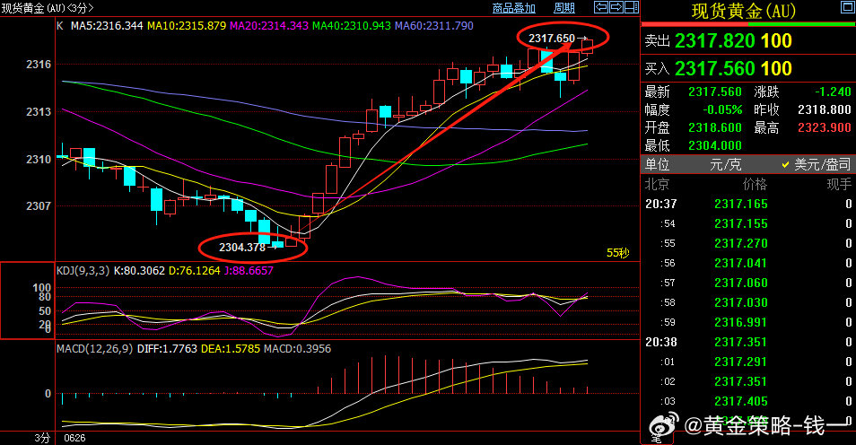 一肖一码中持一一肖一码,持续改进策略_ONG50.636精密版