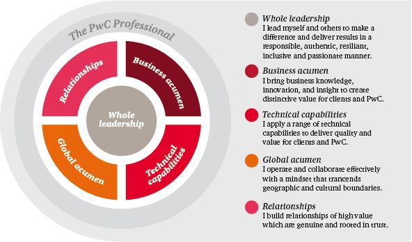 新澳门资料,实际调研解析_YNZ50.749体验版