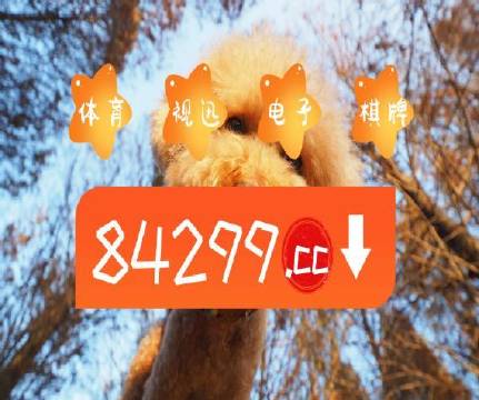 澳门天天彩正版免费挂牌,稳固计划实施_BOM50.318迷你版