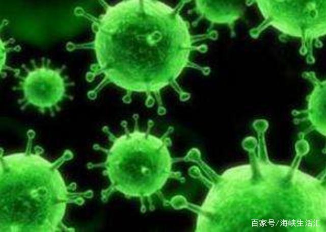 新澳精准资料大全,科学分析解释说明_JVZ50.406智能版