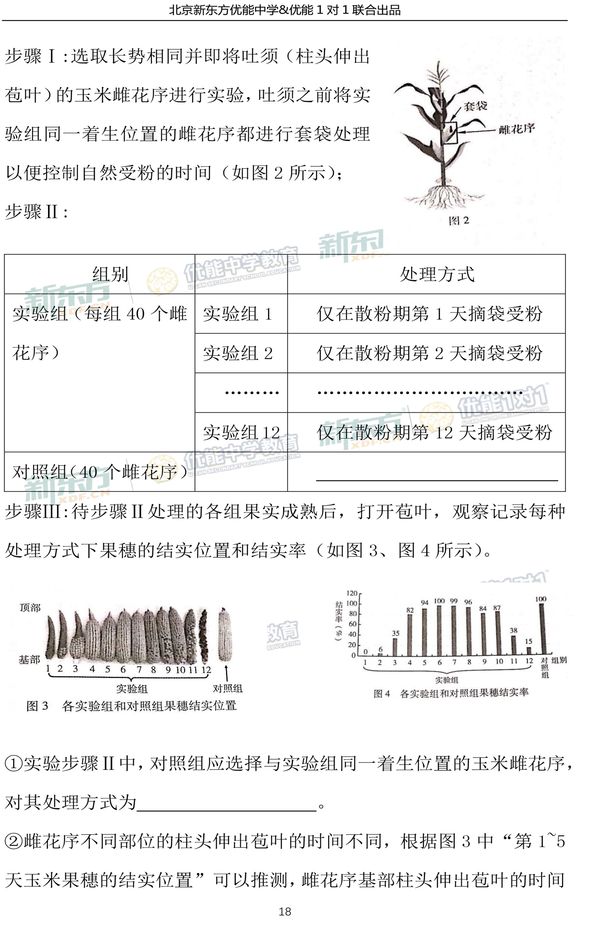 626969澳彩资料大全24期,权威解析方法_TAS50.208跨界版
