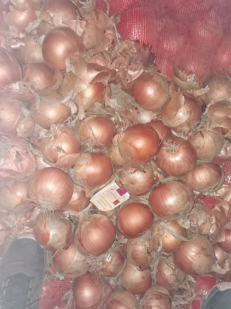 汽车饰品的销售 第601页