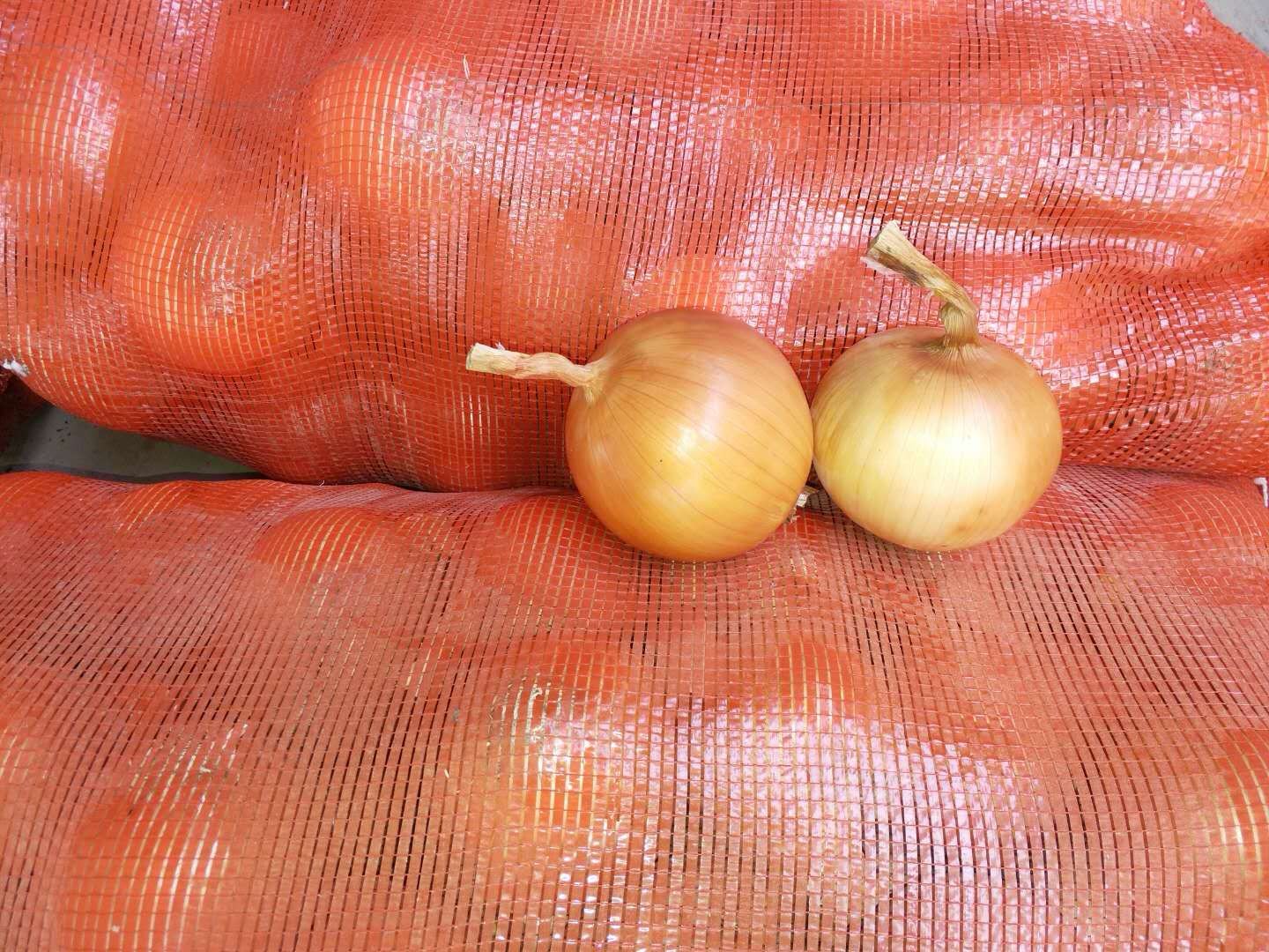 黄皮洋葱最新价格揭秘,友情与物价交织的温情故事