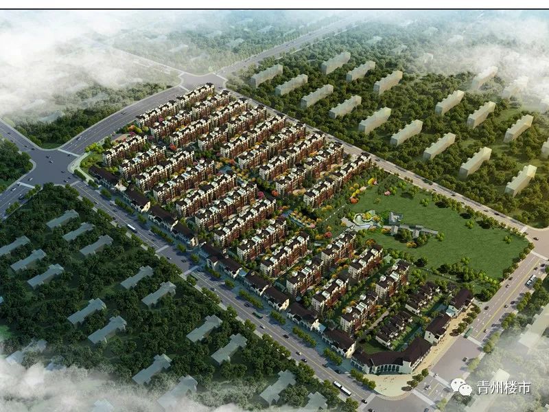 青州最新楼盘探秘,小巷风情与隐藏之宝