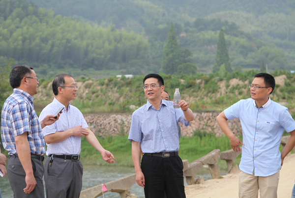 遂昌最新新闻热点,小城趣事与家的温馨纽带