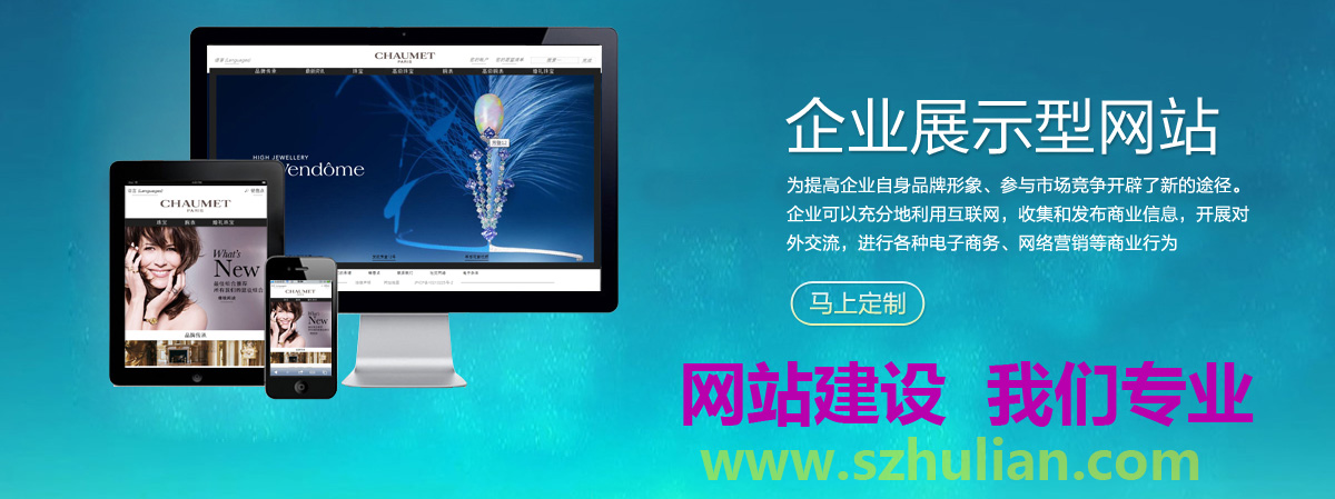 最新网站技术揭秘,引领未来网络体验的革命性创新