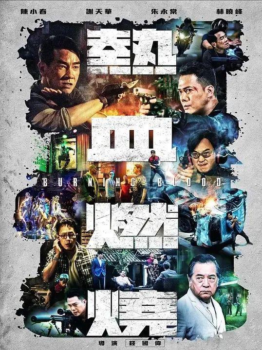 2024最新粤语电影,期待与惊喜的碰撞