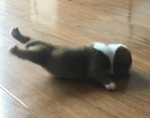 最新健身励志语录,小巷深处的健身灵魂激励你前行