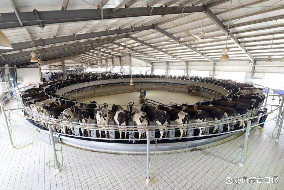 现代牧业最新动态解析,跟进掌握技能与知识的策略和方法