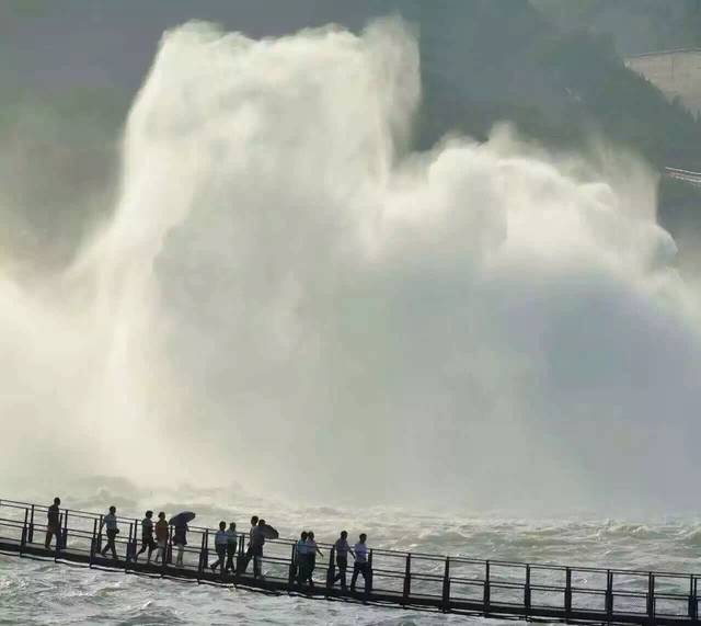 2016小浪底最新水位查询指南,初学者与进阶用户适用