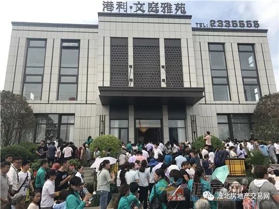 淮北雷山最新动态与自然环境更新🌿🌲