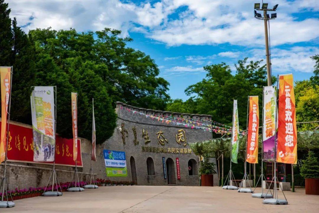 永寿最新项目步骤指南及概述