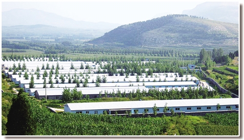 澳门六合资料网站,农业机械化与电气化_UUN99.768按需版