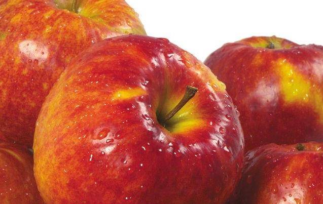 王中王72396王中王开奖结果今天,最新答案诠释说明_FWL99.597娱乐版