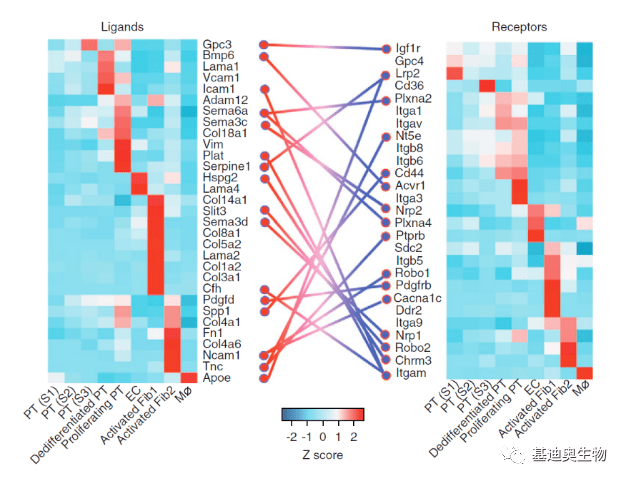 2024年澳门天天彩免费大全,高效性设计规划_SIO99.433任务版