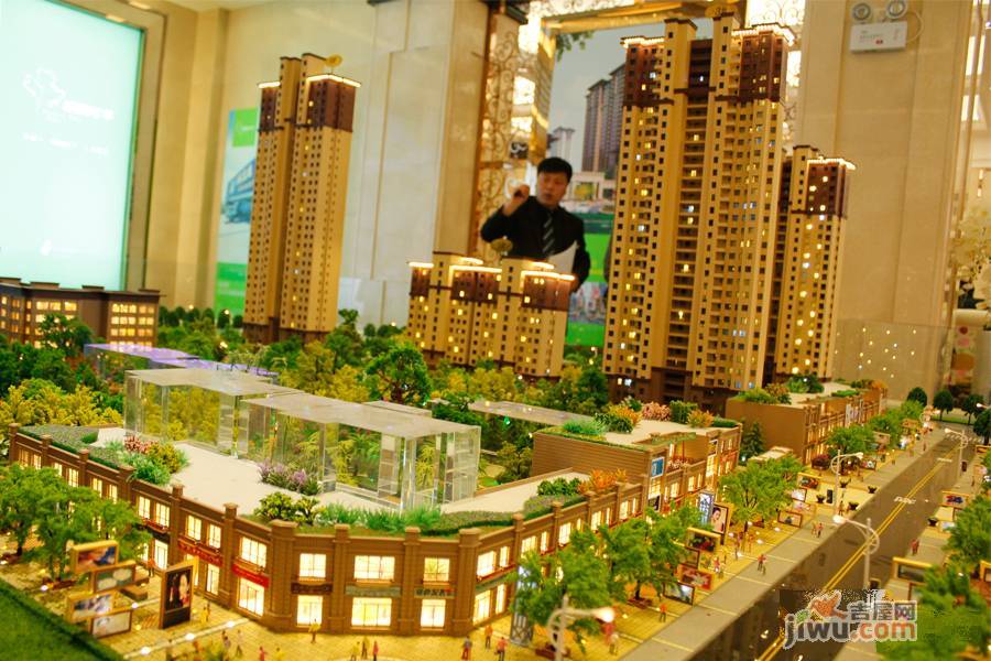 梧桐年华最新动态,友情的种子在时光里绽放