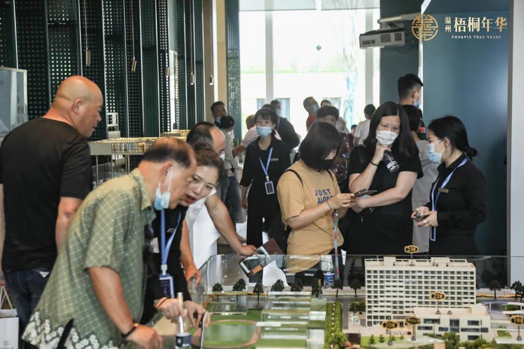 梧桐年华最新动态,友情的种子在时光里绽放