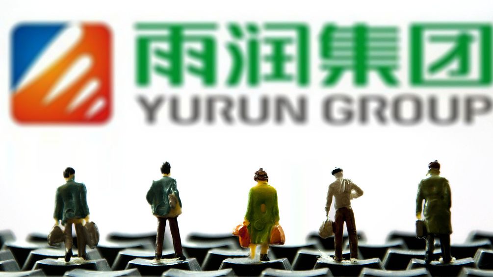 雨润集团最新动态,日常小故事中的温暖与友情滋润