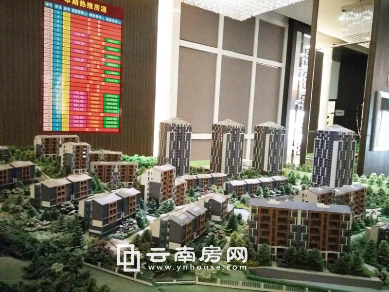 禄劝最新房价揭秘，小巷深处的惊喜发现