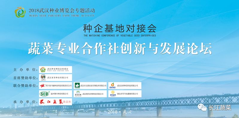 新澳精准资料免费提供濠江论坛,稳固执行战略分析_CGN99.763远程版