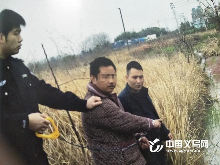 义乌2024年最新命案揭秘