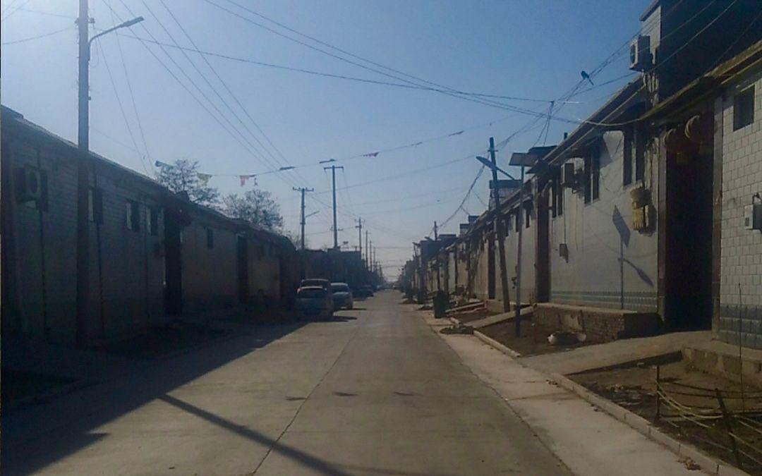 藁城白菜最新价格，时代印记与市场的脉动