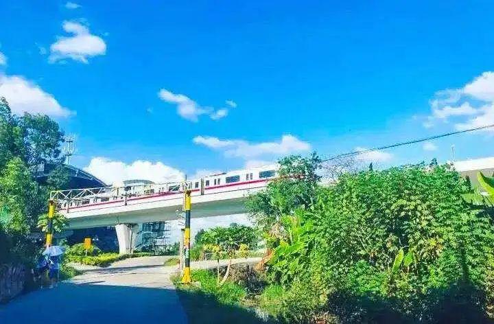 广东八二站92941cc,林学_LFP79.487时刻版