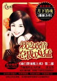 月下销魂最新小说的魅力、争议与独家解析