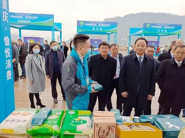 涪陵榨菜最新公告,味蕾盛宴与友情交流的深度体现