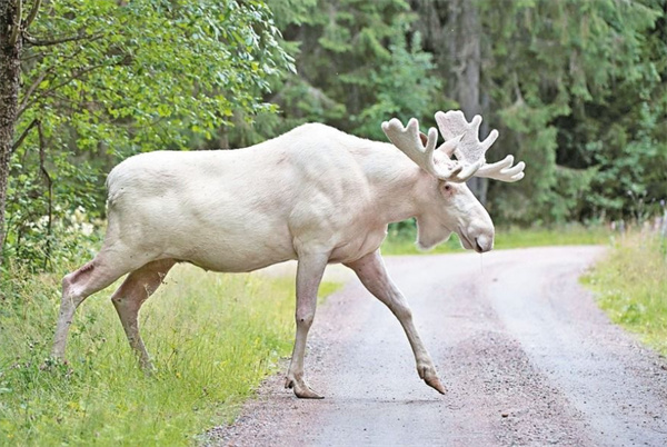 洗车服务 第535页