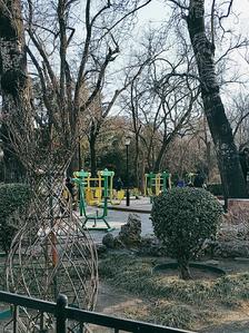 东单公园最新动态揭秘,最新进展与活动概述