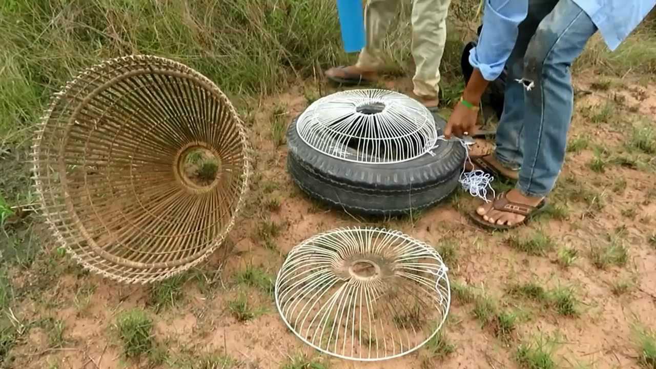 最新捕鸟神器,与自然美景的浪漫遨游之旅