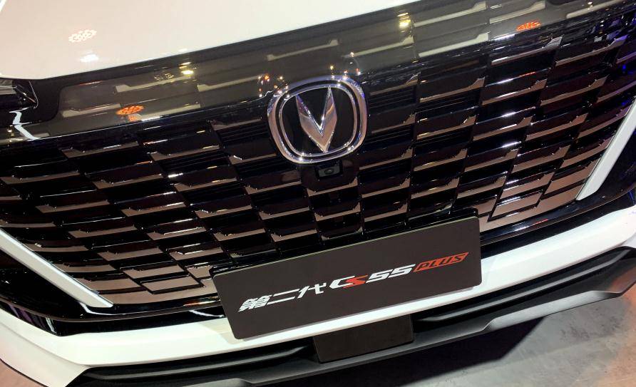 最准一肖100%中一奖,安全设计解析说明法_DNH79.797趣味版