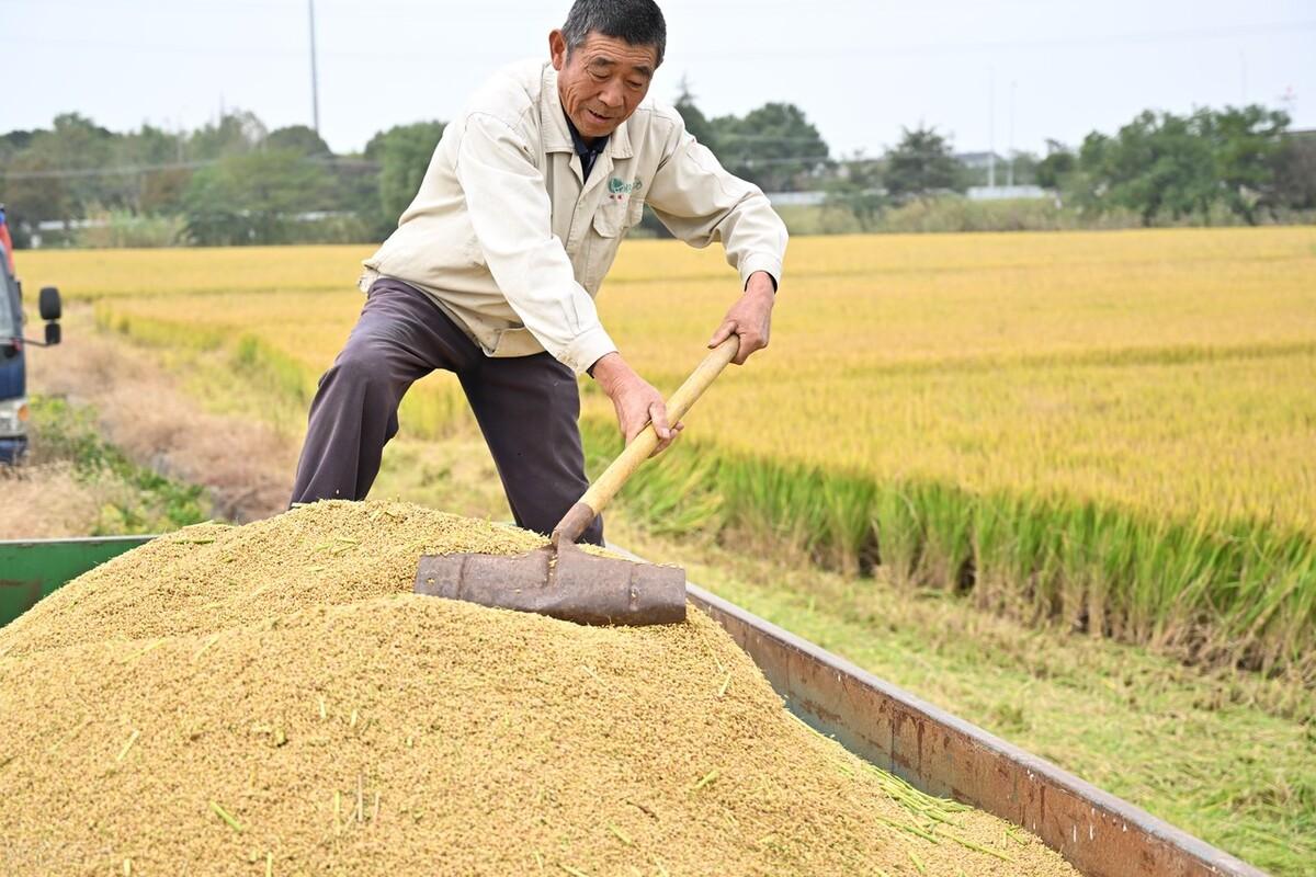 安徽铁精粉最新价格背后的友情与家庭温情故事