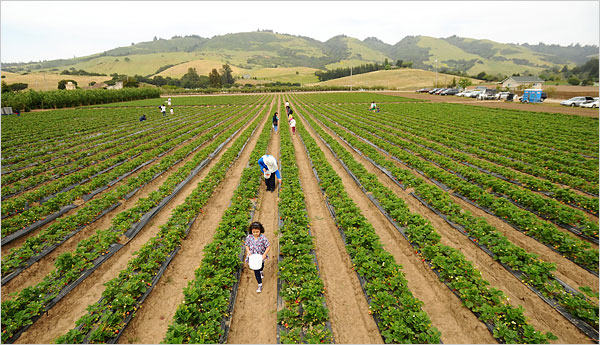 最新农业探索,自然美景之旅,揭示现代农业的奥秘