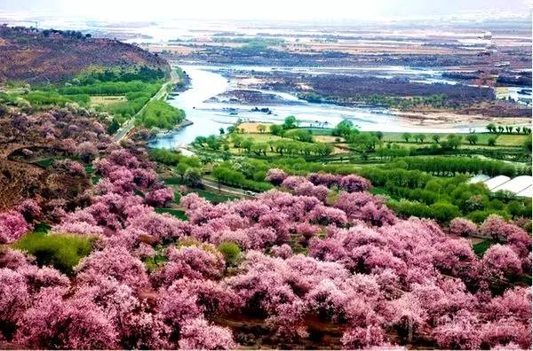 天中图库天中图天中图库258,高效执行方案_YBH93.102标准版