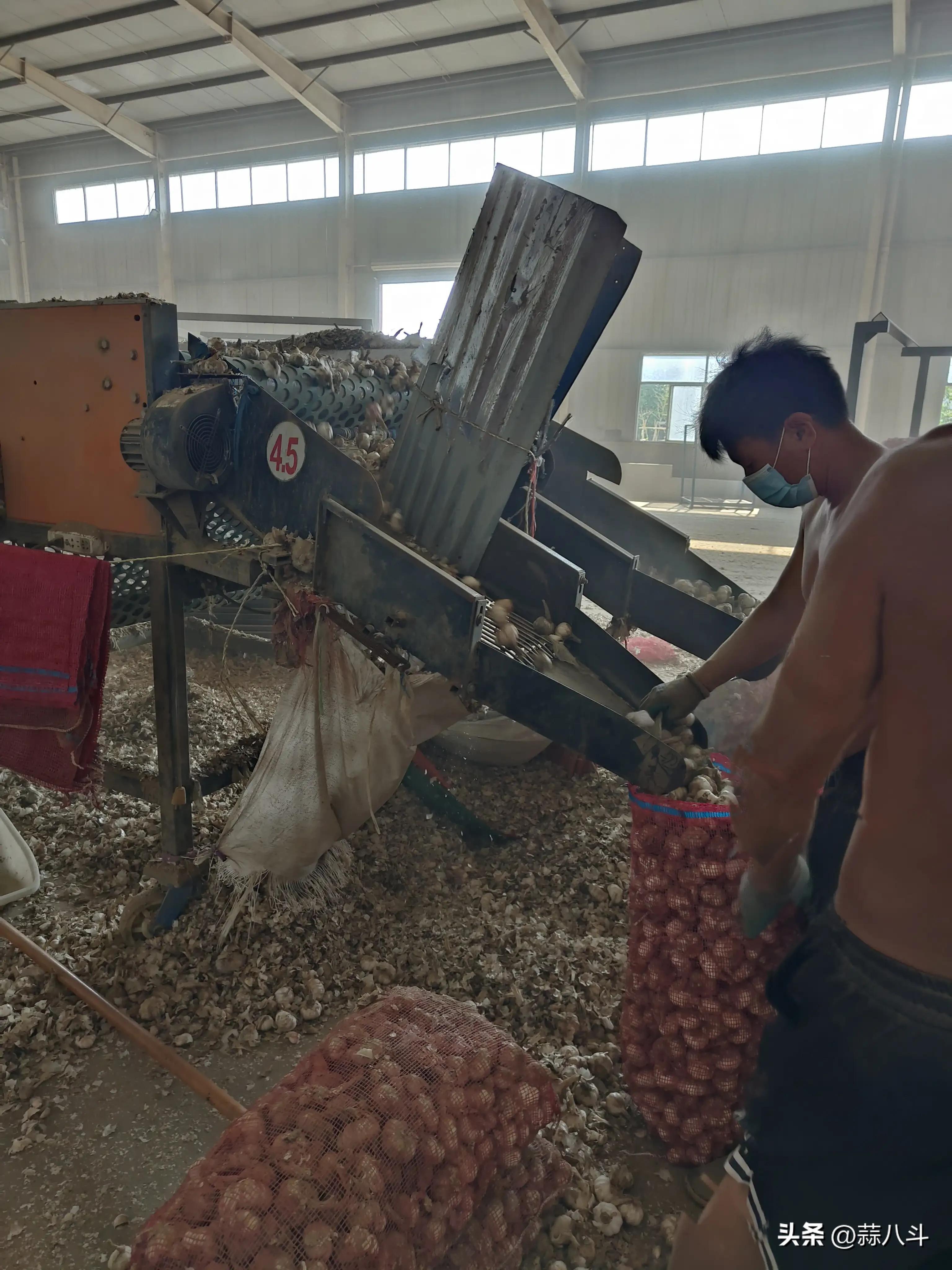 洗车服务 第492页