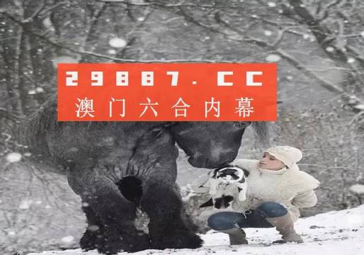 2024澳门资料龙门客栈,动态解读分析_WPK97.681多媒体版