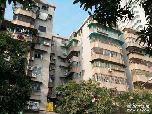 凤阳最新楼盘盛大开盘,自然美景探索之旅开启!