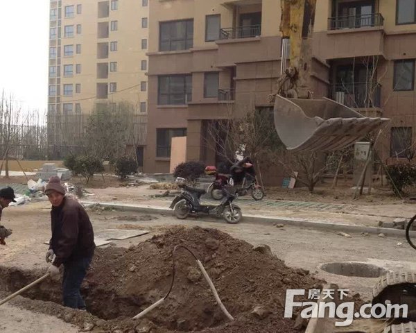 汽车饰品的销售 第483页