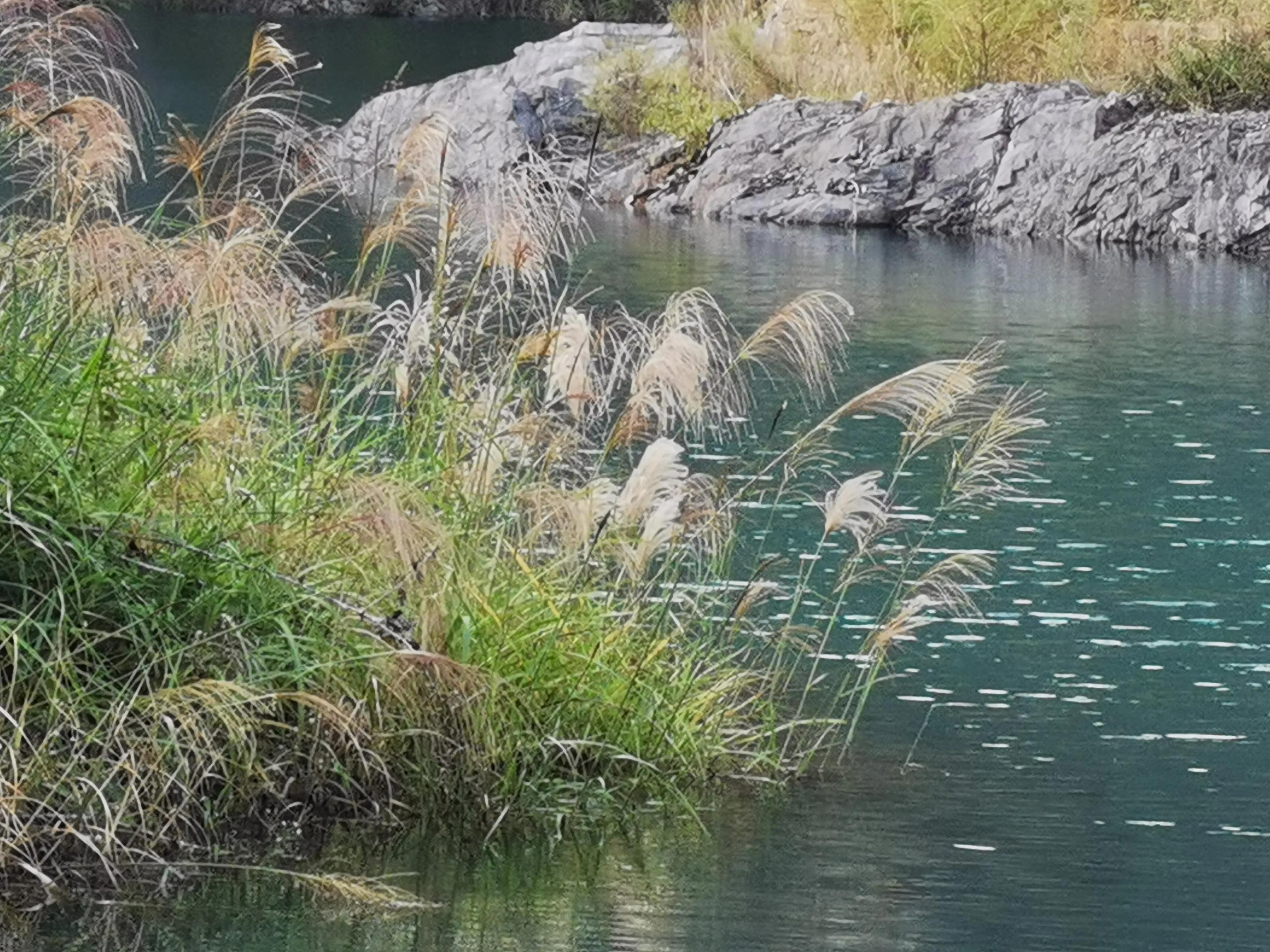 重庆矿山公园最新图片及欣赏指南,美景一览与获取途径