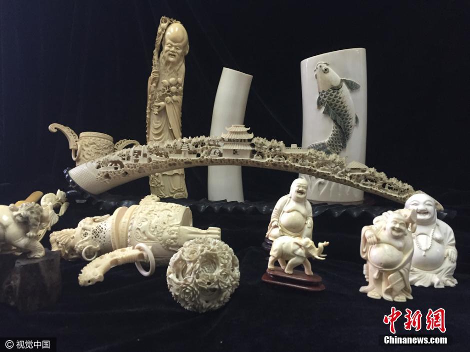 象牙最新动态，一段关于友情与陪伴的感人故事