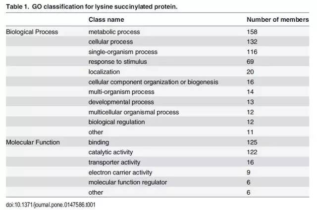 新澳2024正版资料免费,精细化实施分析_XMP93.712外观版