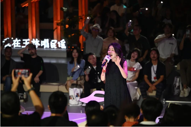 最新民谣歌曲2024，时代旋律与回响的交融