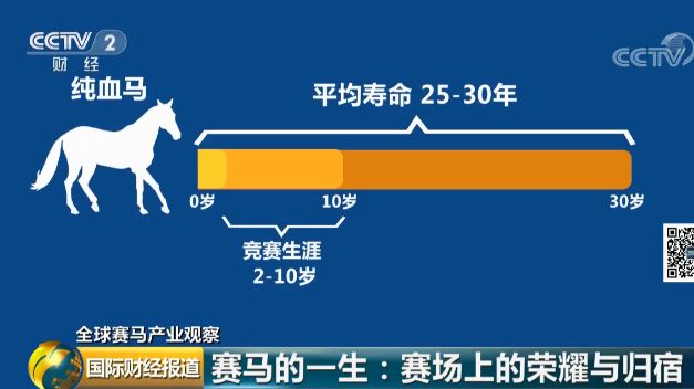 洗车服务 第465页