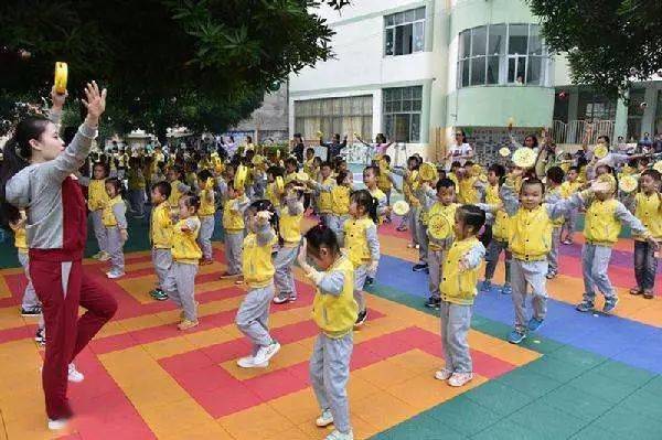 关于幼儿最新早操,2024年趋势与观点论述