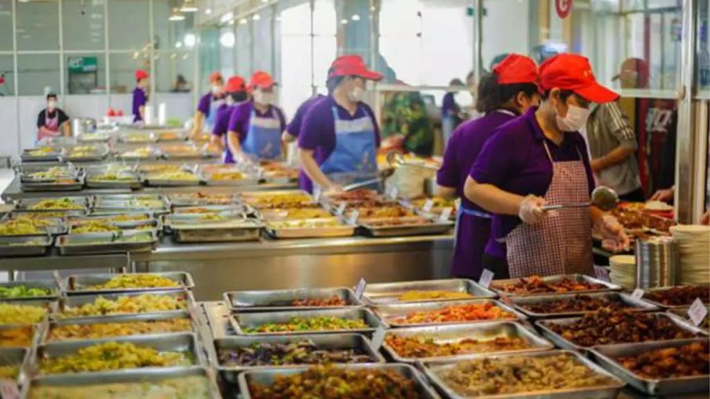 温州食堂外包最新资讯，最新外包信息解读